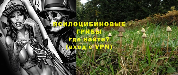 гашик Алексин