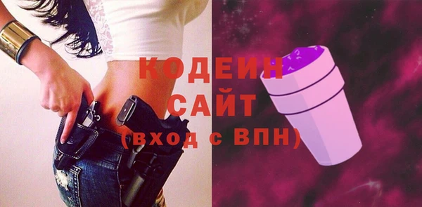 гашик Алексин