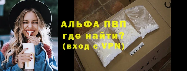 гашик Алексин