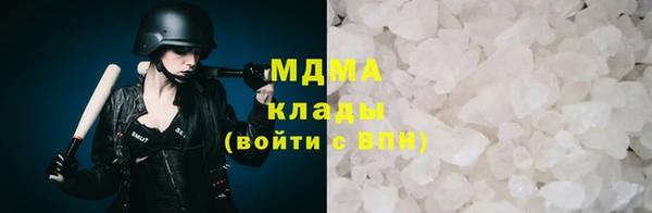 гашик Алексин