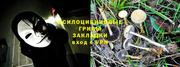 гашик Алексин