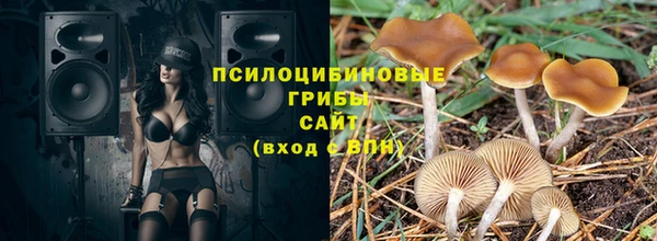 гидра Алзамай