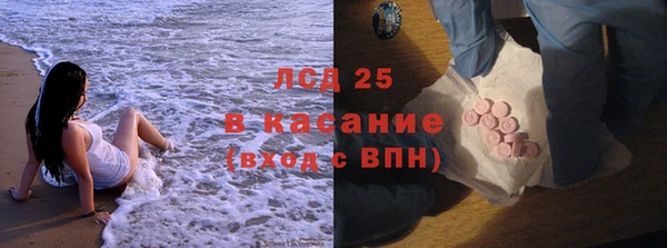гашик Алексин