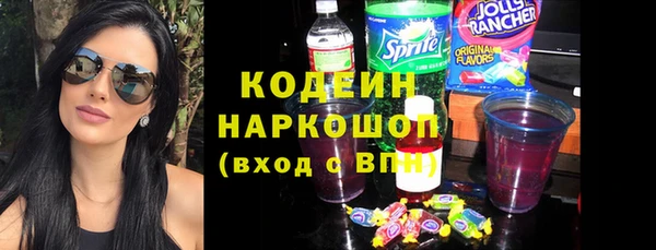 гашик Алексин