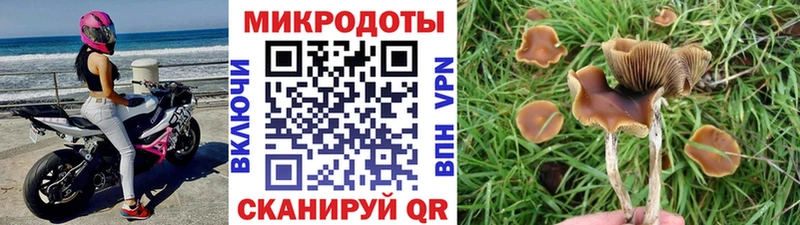 купить   Омск  Псилоцибиновые грибы мухоморы 