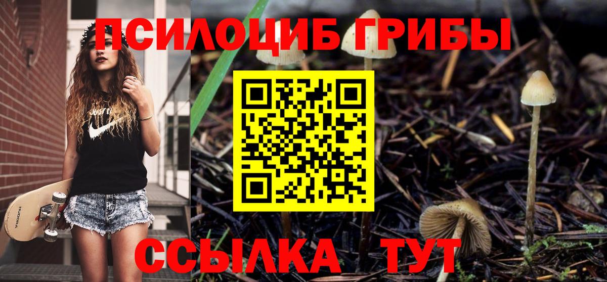 Галлюциногенные грибы Magic Shrooms Омск
