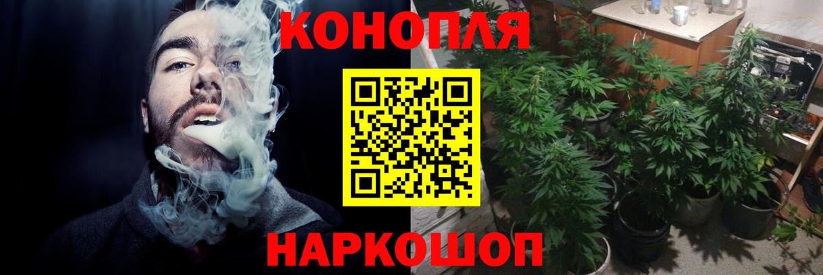 Бошки марихуана план  Канабис OG Kush  Конопля гибрид  Омск  Вход с VPN  Канабис OG Kush 
